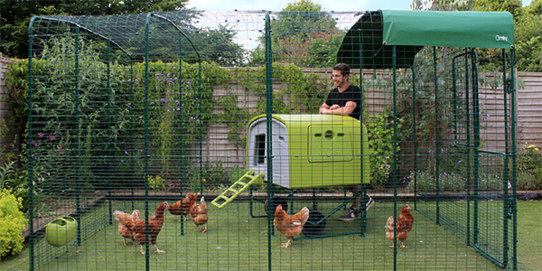 Grand enclos à poules Omlet