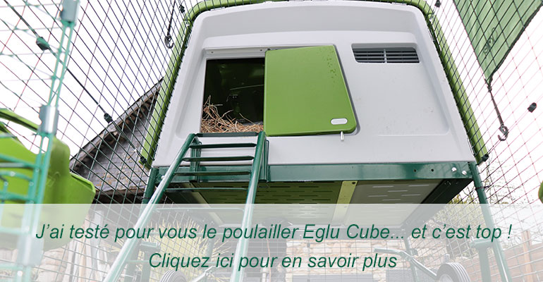 Test du poulailler Eglu Cube Omlet