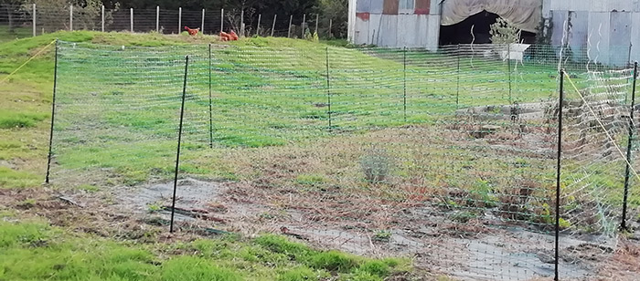 Filet à poule pour potager Omlet