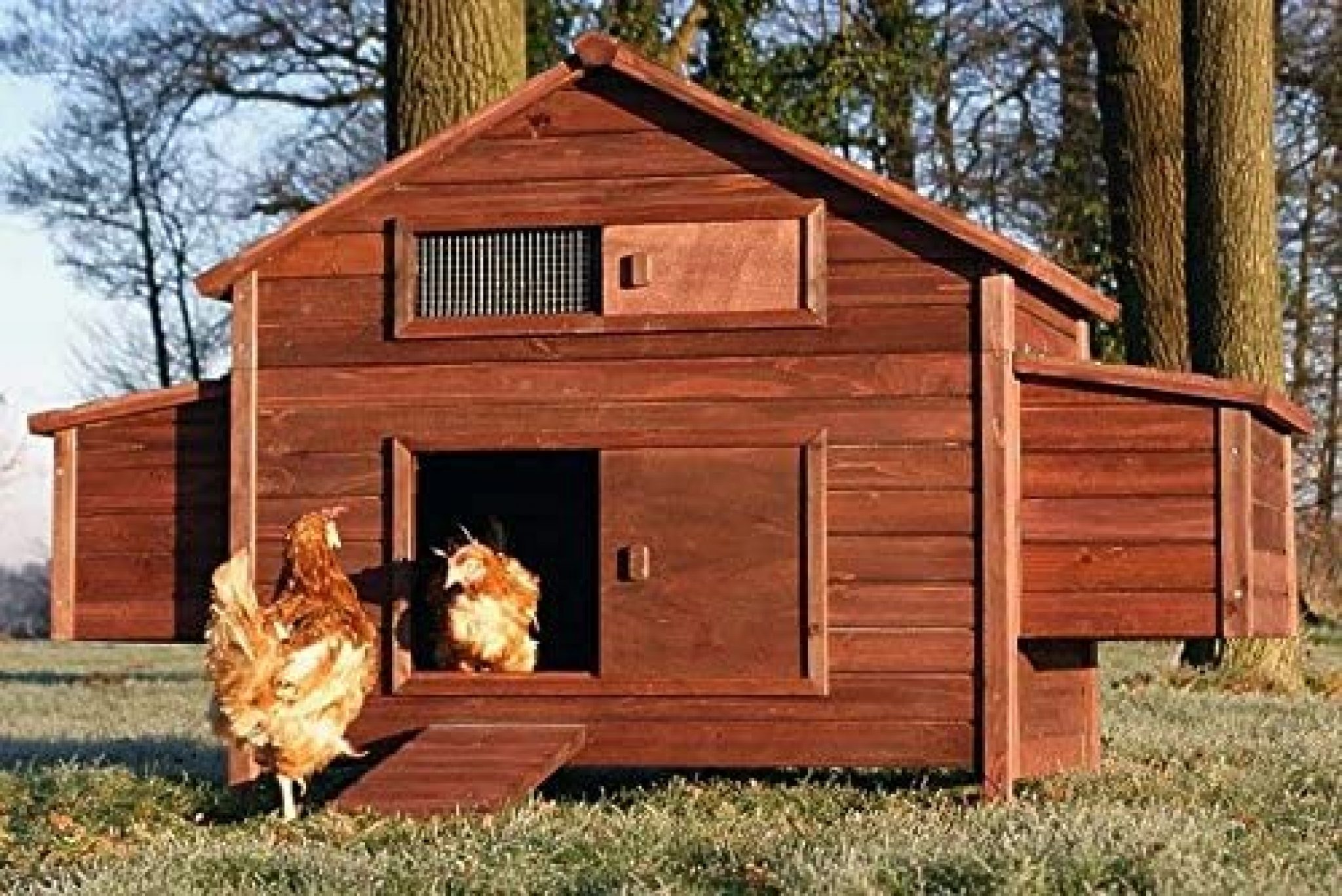 Куры частный дом. Курятник. Красивый домик для кур. Деревянный курятник. Курятники для кур.